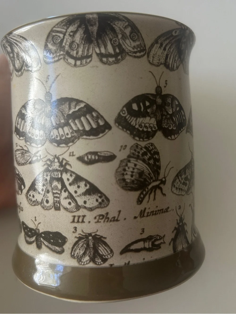 John Derian for Target john derian